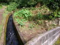 Levada in the forest of Faial da Terra in Azores