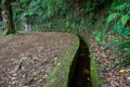 Levada forest trail in Madeira islandm Portugal.