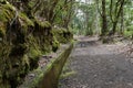 Levada of Madeira Island, type of irrigation canals, Portugal