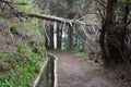 Levada of Madeira Island, type of irrigation canals, Portugal