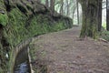 Levada of Madeira Island, type of irrigation canals, Portugal