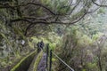 Madeira Levada and tourists on the trail