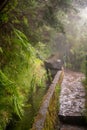 Levada with a Stone