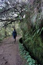 Levada Walk Hike to the 25 Fontes in Madeira, Portugal. Man walking in front Royalty Free Stock Photo