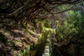 Levada water stream in Rabacal hiking route, Madeira island.