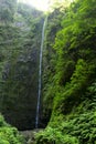 Levadas Caldeirao Verde waterfall Royalty Free Stock Photo