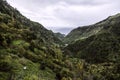 Walk along the paths of Levada Nova, Madeira