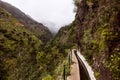 Walk along the paths of Levada Nova, Madeira