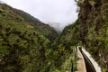 Walk along the paths of Levada Nova, Madeira