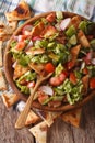 Levantine salad - Fattouche close up in a bowl. vertical top vie Royalty Free Stock Photo