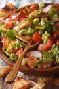 Levantine salad - fattoush close up in a bowl. Vertical