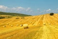 Bales of straw. Levels after the harvest Royalty Free Stock Photo