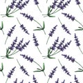 Levender branches seamless watercolor pattern. Provence herbs. Green leaf leaves, twig, branch, herb stick. Isolated. Botanical.