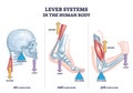 Lever systems in human body for neck, leg and arm movement outline diagram Royalty Free Stock Photo