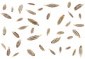 Levitate cumin seeds isolated on white background. Organic caraway seeds collection