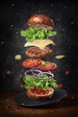 Levitating fresh ingredients of delicious warm burger Royalty Free Stock Photo