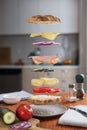 Levitating Sandwich with its ingredients Royalty Free Stock Photo