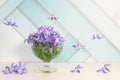 Levitation effect, vase with blue snowdrops on a light background and falling flowers