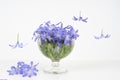 Levitation effect, vase with blue snowdrops on a light background and falling flowers