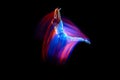 Levitation. One flying, jumping dancer or gymnast performing tricks in the air over black background with mixed neon