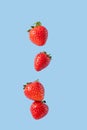 Levitation of ripe red strawberries. Flying a few strawberries with green leaves on a blue background. Summer berry Royalty Free Stock Photo