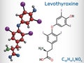 Levothyroxine, L-thyroxine molecule. It is synthetic form of the thyroid hormone thyroxine, T4 hormone, used to treat