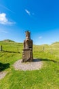 Lewis Chessmen Royalty Free Stock Photo