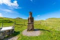 Lewis Chessmen Royalty Free Stock Photo