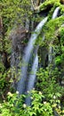 Lewis Falls - Shenandoah Royalty Free Stock Photo