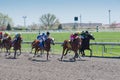 Thoroughbred horse racing at Keeneland race track at spring, Lexington, Kentucky Royalty Free Stock Photo