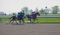 Thoroughbred horse racing at Keeneland race track at spring, Lexington, Kentucky