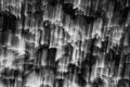 Leylandii Cypress foliage (Cupressus x leylandii) Monochrome background. ICM. Royalty Free Stock Photo