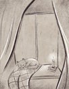 Drawing of a pet cat sleeping on the window
