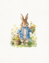 Watercolor vintage bunny drawing, easter bunny, woodland animal, illustration for children\'s room Royalty Free Stock Photo