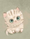 Fluffy playful little kitten with big eyes