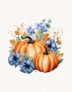 Watercolor drawing of autumn composition, pumpkins and autumn flowers, white background