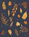 Illustration set of autumn herbarium, yellow and orange leaves