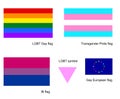 LGBT Gay flags icon set, isolated on white background. Transgender flag. Bi flag, bisexual symbol.