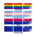 LGBT gay flags vector