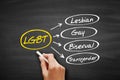 LGBT - lesbian, gay, bisexual, transgender acronym, concept on blackboard