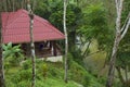 Lhao Sok HOme resort in the jungle, Thailand