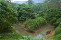 Lhao Sok HOme resort in the jungle, Thailand