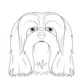 Lhasa Apso dog easy coloring cartoon vector illustration. Isolated on white background