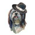 Lhasa apso dog - watercolor realistic isolated hipster dog portrait