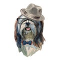 Lhasa apso dog - watercolor realistic isolated hipster dog portrait