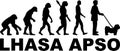 Lhasa Apso evolution word