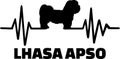 Lhasa Apso heartbeat word