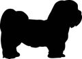 Lhasa Apso silhouette black