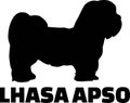 Lhasa Apso silhouette real word