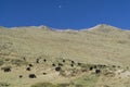 Lhasa former Tibet now China, Ganden Monastery Royalty Free Stock Photo